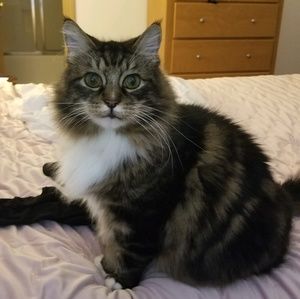 Meet your Posher, Elizabeth